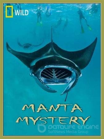   / Manta Mystery (2011 / SATRip)