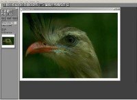Picture Window Pro v 6.0.9 (x64En/x86En+Rus)