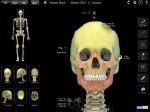 Skeleton System Pro III [3.2, , iOS 4.3, ENG] [HD]