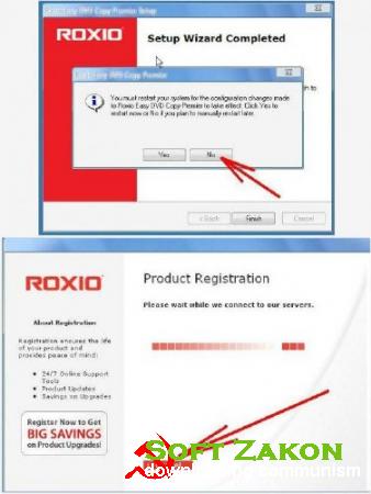 Roxio Easy DVD Copy Premier 1.2.204; 5.0.0.0 (2012/ENG/RUS)