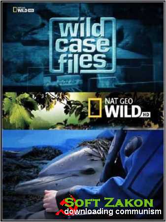  :     / Wild Case Files (2011) SATRip
