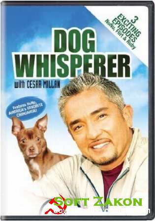   .    / Dog whisperer (2010) IPTVRIP