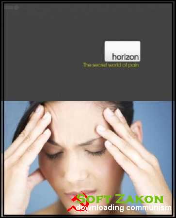 .       / Horizon. The secret World of pain 2011 SATRip (450mb)