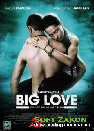   / (Fucking) Big Love / 2012 / DVDRip