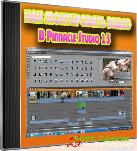     Pinnacle Studio 15 (2012) DVDRip