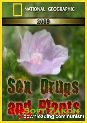  -  ( ) / National Geographic: Sex, Drugs and Plants (Amazing Plants) (2009) HDTVRip (720p)