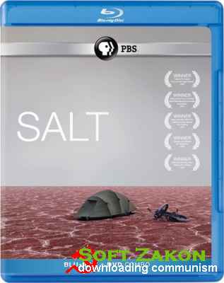  / Salt (2009) BDRip
