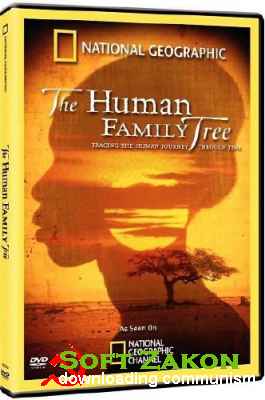   / National Geographic: The Human Family Tree (2009) SatRip