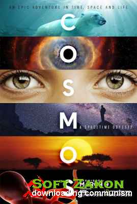 :    / Cosmos: A SpaceTime Odyssey (2014) HDTVRip/HDTV720p/1  /1 -3/
