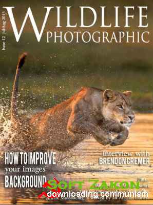 Wildlife Photographic - July-August 2015