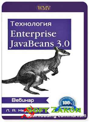 []Java:  Enterprise Java Beans 3.0
