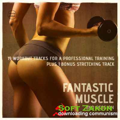 Fantastic Muscle Vol. 2 (20 Workout Tracks For A Professional Training)