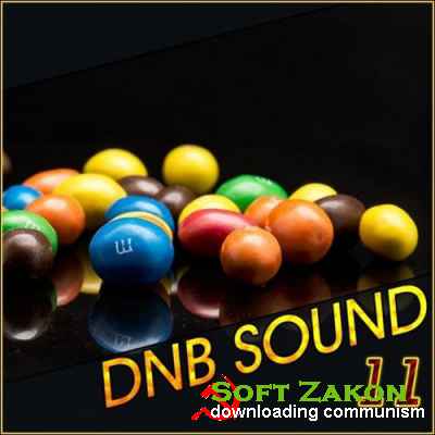 DNB Sound vol.11 (2016)
