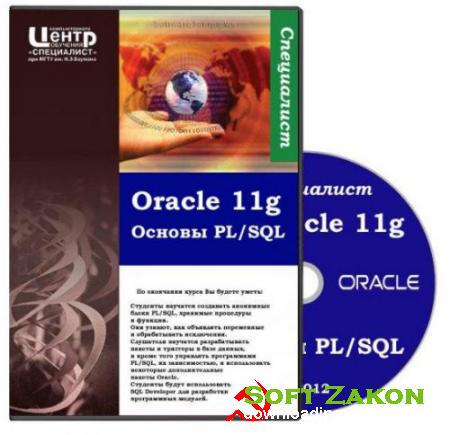 Oracle11g:  PL/SQL