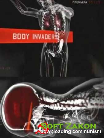   / Body invaders (2012) 3 . IPTVRip