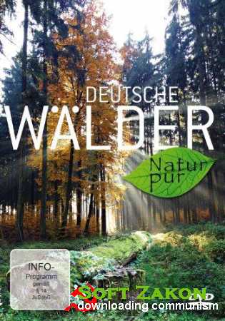 Deutsche Walder: Natur pur (2012) HDRip