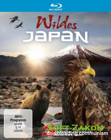    / Wildes Japan (2010) BDRip 1080i