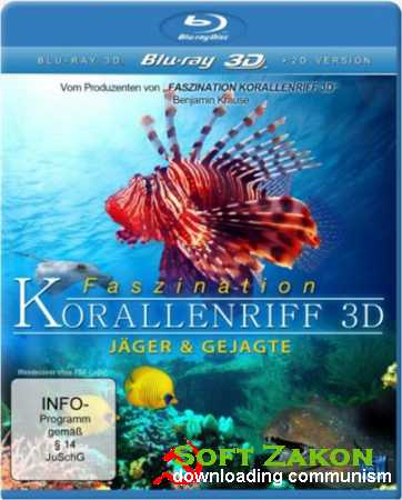   -  3 / Faszination Korallenriff 3D - Vol. 3  (2011) BDRip 1080p | 3D-Video