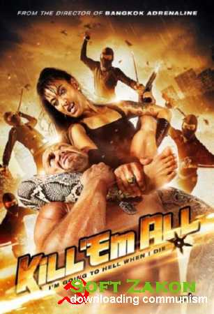    / Kill 'em All (2013) DVDRip